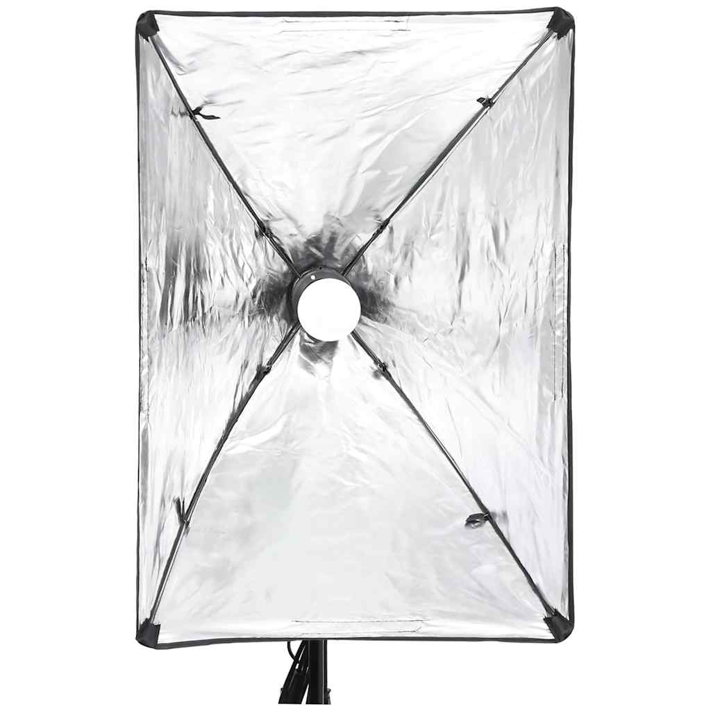 Professional Studio Light
